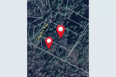 0000 Charles Trail, Hendersonville, NC 28792 - Photo 1