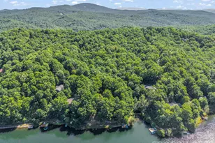 242 Wahuhu Ct, Brevard, NC 28712 - Photo 41