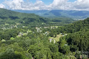 64 Big Spruce Ln, Waynesville, NC 28786 - Photo 41