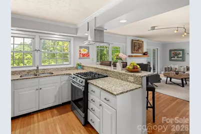 528 N Griffing Boulevard, Asheville, NC 28804 - Photo 17
