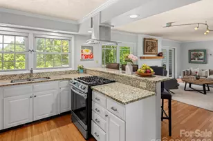 528 N Griffing Blvd, Asheville, NC 28804 - Photo 17