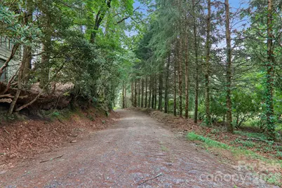 61 Bo Diddly Lane, Cedar Mountain, NC 28718 - Photo 41