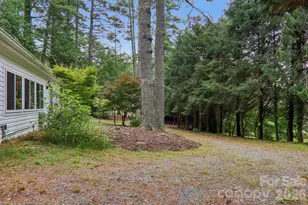 61 Bo Diddly Ln, Cedar Mountain, NC 28718 - Photo 45