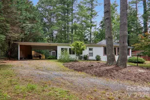 61 Bo Diddly Ln, Cedar Mountain, NC 28718 - Photo 5