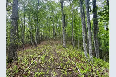 280 Laurel Creek, Cedar Mountain, NC 28718 - Photo 45