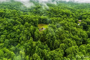 280 Laurel Creek, Cedar Mountain, NC 28718 - Photo 43