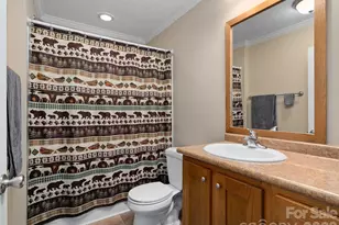 193 Tipstill Cove, Waynesville, NC 28786 - Photo 17