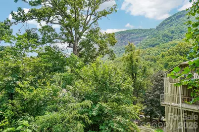 950 Main Street #4, Chimney Rock, NC 28720 - Photo 31