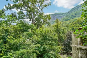 950 Main St, Chimney Rock, NC 28720 - Photo 31