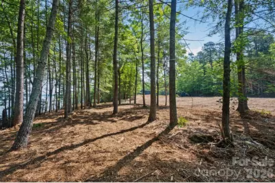 V/L N Powerhouse Road, Morganton, NC 28655 - Photo 15