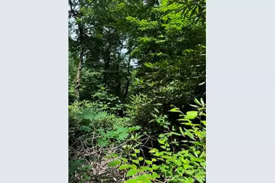 99999 Nc 9 Highway, Black Mountain, NC 28711 - Photo 7