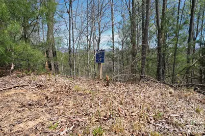 0 High Peak Drive #5, Burnsville, NC 28714 - Photo 3