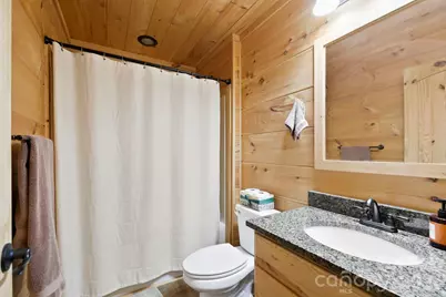 344 Wolf Trail, Lake Lure, NC 28746 - Photo 11