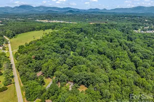 104 Dill Cir, Landrum, SC 29356 - Photo 43