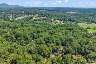 104 Dill Cir, Landrum, SC 29356 - Photo 41