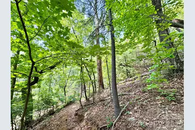 Lot 23 Bear Track Lane #23, Lenoir, NC 28645 - Photo 11