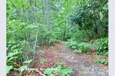 Lot 23 Bear Track Lane #23, Lenoir, NC 28645 - Photo 13