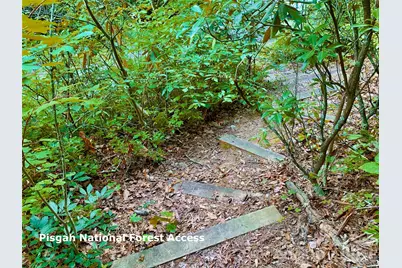 Lot 23 Bear Track Lane #23, Lenoir, NC 28645 - Photo 15