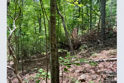 Lot 23 Bear Track Lane #23, Lenoir, NC 28645 - Photo 7