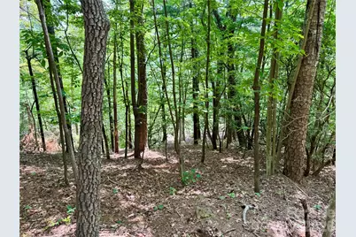 Lot 23 Bear Track Lane #23, Lenoir, NC 28645 - Photo 5