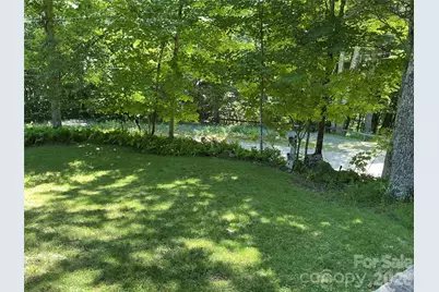 469 Tearshirt Lane, Mars Hill, NC 28754 - Photo 3
