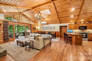 469 Tearshirt Ln, Mars Hill, NC 28754 - Photo 7