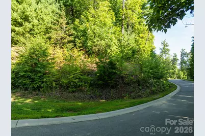 59 Old Greybeard Loop, Black Mountain, NC 28711 - Photo 7