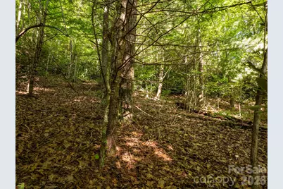 59 Old Greybeard Loop, Black Mountain, NC 28711 - Photo 11
