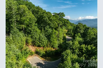 59 Old Greybeard Loop, Black Mountain, NC 28711 - Photo 3