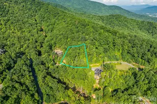 59 Old Greybeard Loop, Black Mountain, NC 28711 - Photo 1