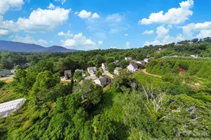 50 Ridgeland Ln, Asheville, NC 28805 - Photo 35