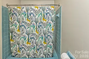 17 Rhododendron Pl, Asheville, NC 28805 - Photo 19