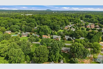 115 Southfork Drive, Belmont, NC 28012 - Photo 37