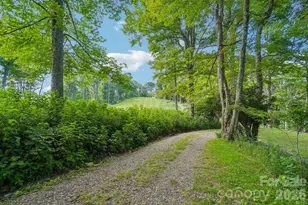 1209 McKinney Gap Dr, Mars Hill, NC 28754 - Photo 31