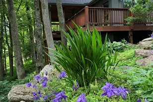 1209 McKinney Gap Dr, Mars Hill, NC 28754 - Photo 5