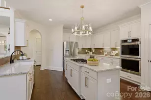250 Barber Loop, Mooresville, NC 28117 - Photo 15
