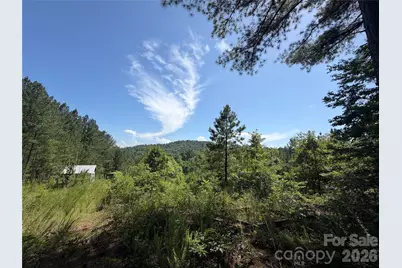 590 Gold Creek Point, Union Mills, NC 28167 - Photo 3