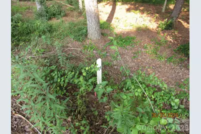 00 Church Road #Lot 11, Taylorsville, NC 28681 - Photo 3