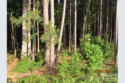 00 Church Road #Lot 11, Taylorsville, NC 28681 - Photo 7