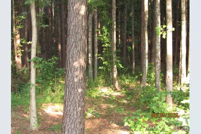 00 Church Road #Lot 11, Taylorsville, NC 28681 - Photo 5