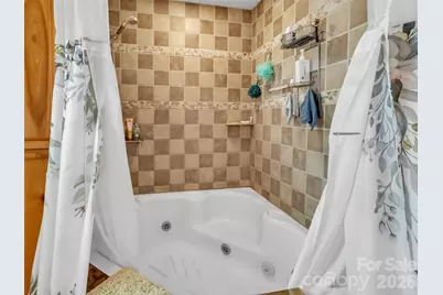 150 Sorghum Drive, Waynesville, NC 28785 - Photo 17