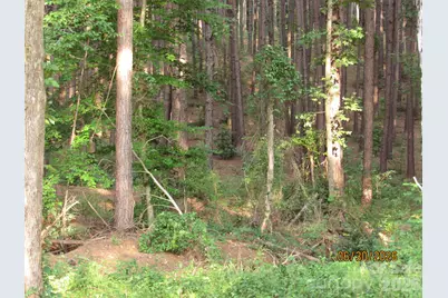 00 Church Road #12, Taylorsville, NC 28681 - Photo 5