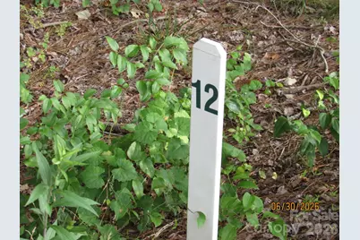 00 Church Road #12, Taylorsville, NC 28681 - Photo 3