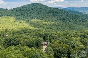 403 Thunder Mountain Rd, Hendersonville, NC 28792 - Photo 47