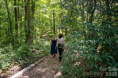 403 Thunder Mountain Road, Hendersonville, NC 28792 - Photo 45