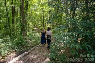 403 Thunder Mountain Rd, Hendersonville, NC 28792 - Photo 45