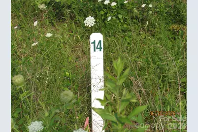 00 Church Road #Lot 14, Taylorsville, NC 28681 - Photo 5