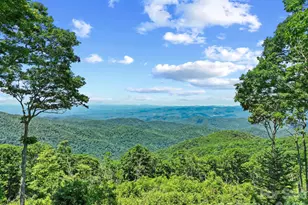 300 Licklog Mountain Trl, Burnsville, NC 28714 - Photo 37