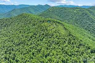 300 Licklog Mountain Trl, Burnsville, NC 28714 - Photo 39