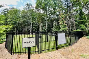 12327 Landry Renee Pl, Charlotte, NC 28277 - Photo 17